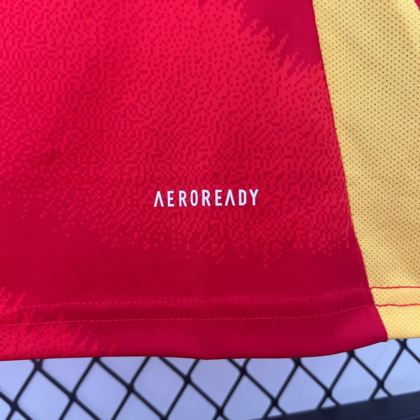 Spain Pedri 21 Home Soccer Jersey Euro 2024